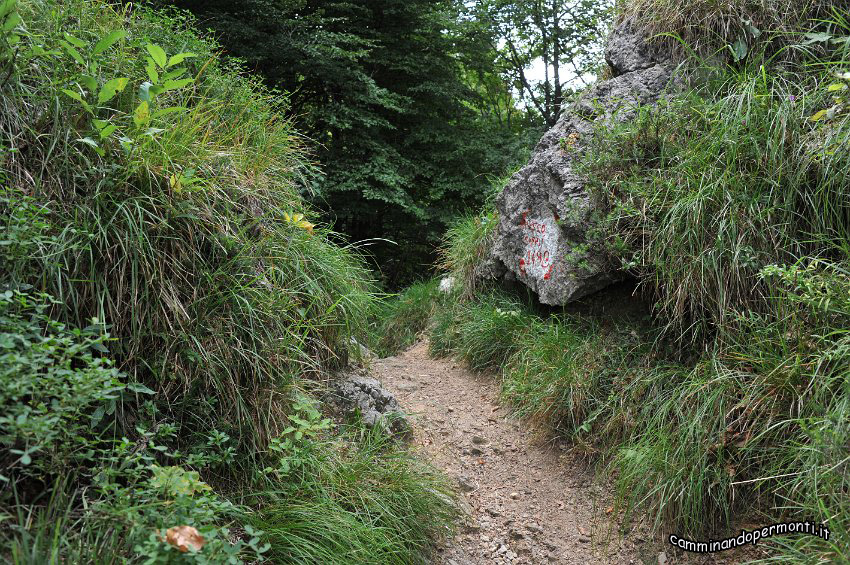 037 Periplo e vetta Monte Alben la Croce.JPG